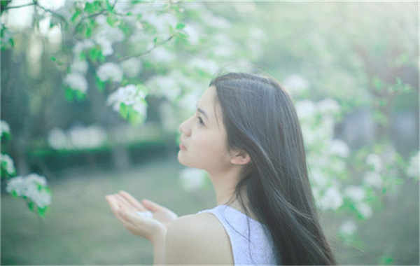 长安镇验血查男女几周可以验(验血查男女结果图)